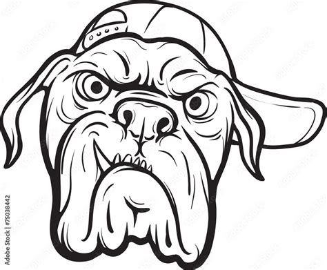 whiteboard drawing - angry dog face Stock Vector | Adobe Stock