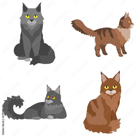 Maine Coon Icons Set Flat Set Of Maine Coon Vector Icons For Web