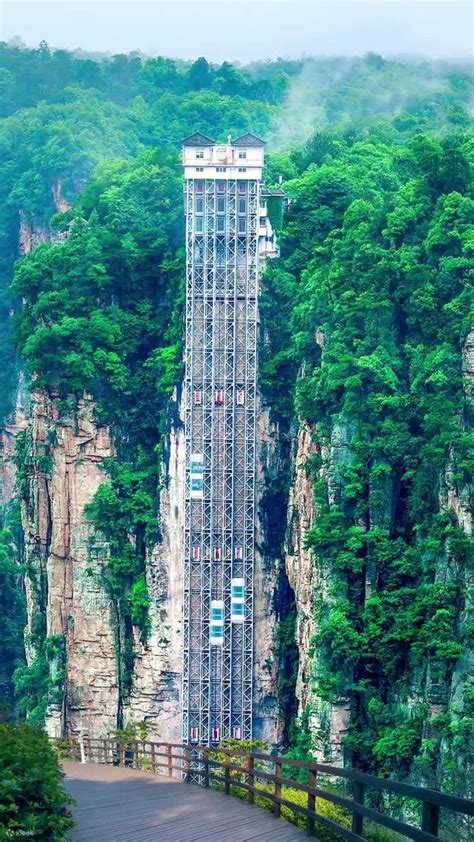 Tur Sehari Berpemandu Pribadi Jembatan Kaca Grand Canyon Taman Hutan