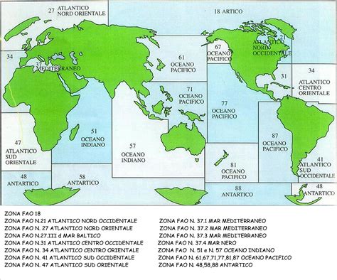 Le Zone Fao Della Pesca