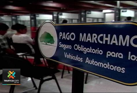 113 Mil Propietarios Deben Marchamos Condonación Propuesta Sería De