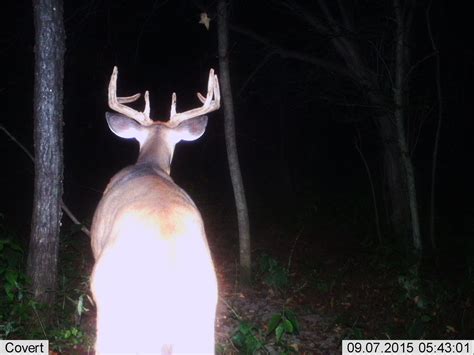 Ohio Trail Cam Game Camera | Orwell ohio, Game cameras, Ohio