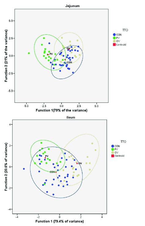 Discriminant Functions Plot For Jejunum Ileum And Colon Using The Download Scientific Diagram