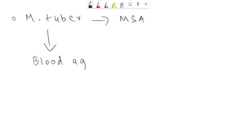 Solved Question Msa Is Routinely Used In Clinical Labs An Isolate