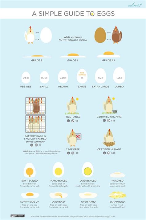 A Simple Visual Guide To Eggs Food Charts Cooking Tips Food Hacks