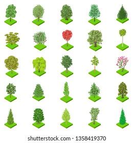 Fifty Different Tree Sorts Names Illustrations Stock Illustration