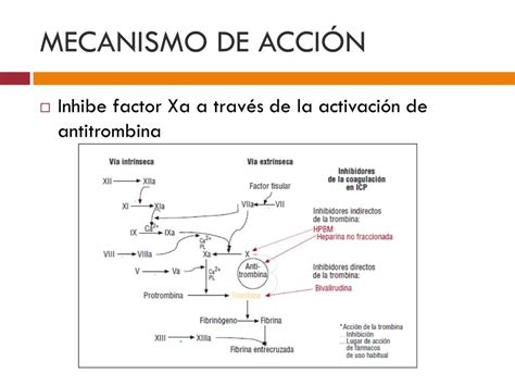 Ppt Heparina De Bajo Peso Molecular Powerpoint Presentation Free