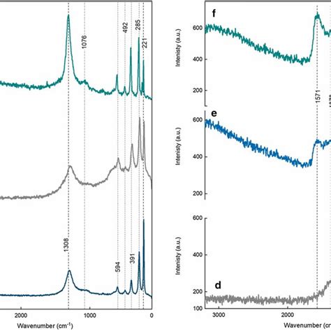 Raman Spectra Of The Neat Ions A Ionhep B D Ionch G E And