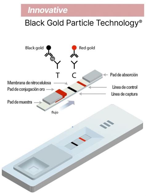 Test R Pido De Ant Geno Para Detecci N De Infecci N Por Covid Ies