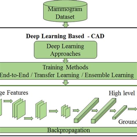 Deep Learning Architecture And Learning Process For Computer Aided