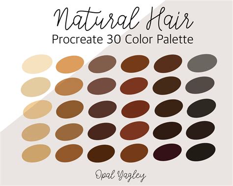 Natural Hair Procreate Color Palette / Blonde Hair ,brown Hair , Black ...