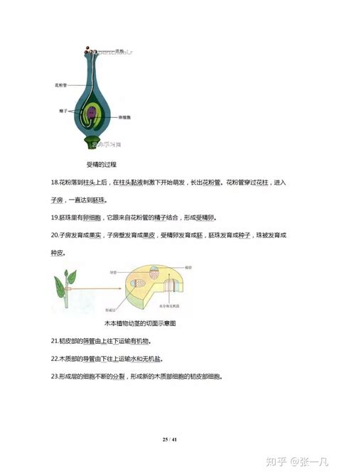 人教版初中生物结业考试复习资料（全）带详细图解 知乎