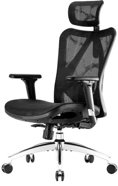 Sihoo M Ergonomic Mesh Chair Review