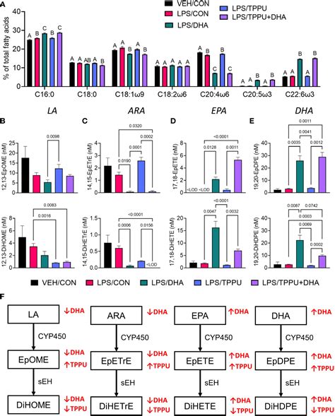 Frontiers Lipidome Modulation By Dietary Omega 3 Polyunsaturated