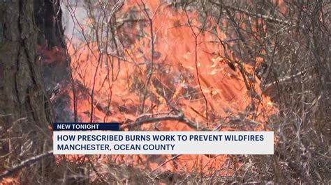 State Forest Fire Services Prepares For Wildfire Season With Prescribed Burns