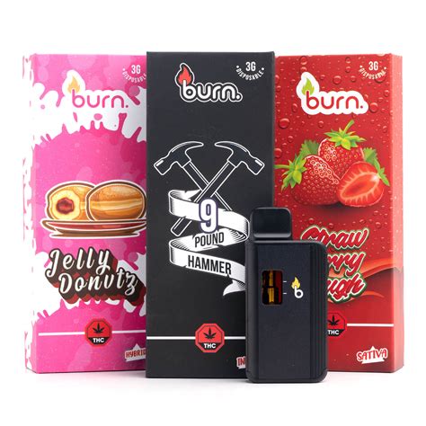 Burn 3g Disposable Vape Pen Canna Care Bc