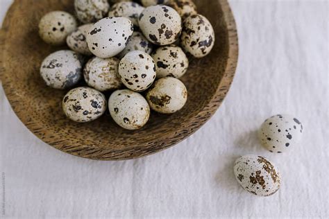 Quail Eggs By Stocksy Contributor Julia Volk Stocksy