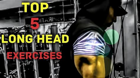 Top 5 Tricep Long Head Exercises Youtube