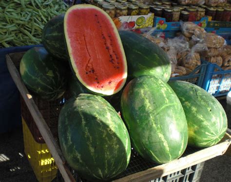 Der Geschmack Von Kreta Die Wassermelone Der Ideale Durstlöscher