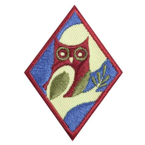 Cadette Night Owl Badge Girl Scouts Of NE Kansas And NW Missouri