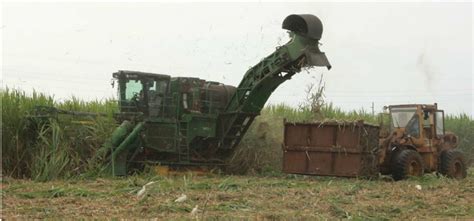 Sugarcane Harvesting System: a Critical Overview (PDF Download Available)