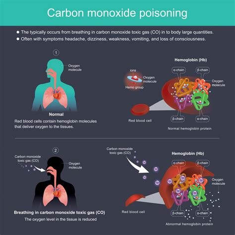 How To Avoid Carbon Monoxide Poisoning Sunrise Heating Plumbing