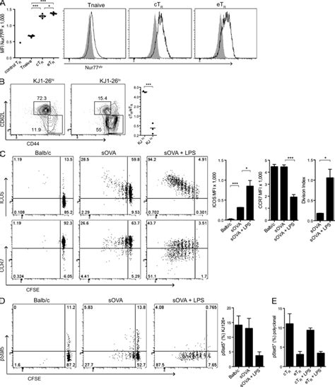 Antigen And Inflammatory Signals Alter The Homeostatic Behavior Of T