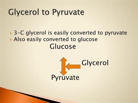 Ppt Metabolism Of Nutrients Powerpoint Presentation Free Download