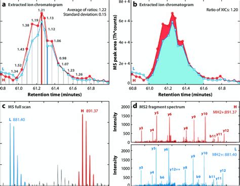 Metabolic Labeling Using 15 N A Extracted Ion Chromatogram Xic