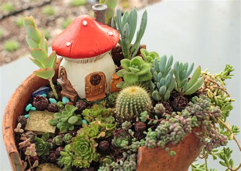 Houseplants Succulent Fairy Garden