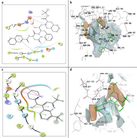 Docking Poses 2d And 3d Of Compounds In The Binding Pocket Of Plpro