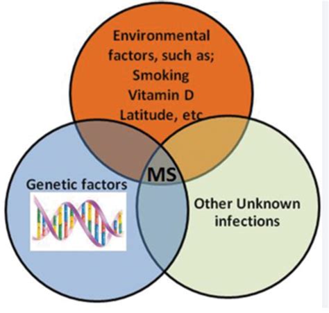 Risk Factors Associated with Multiple Sclerosis - BeCareLink