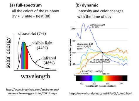 what's special about natural light - Sunlight Inside