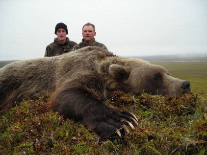 Unit 7 Alaska Grizzly Bear Hunts - HuntersDomain