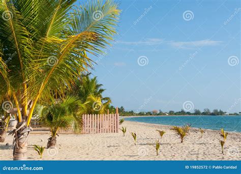 Beach at Placencia, Belize. Stock Photo - Image of america, central ...