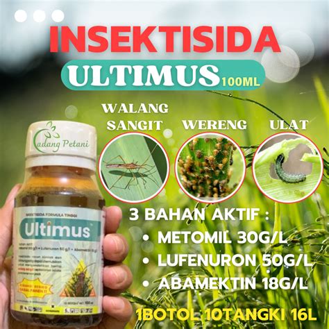 Jual Insektisida Hama Wereng Paling Ampuh Ultimus Ml Pengendali Hama