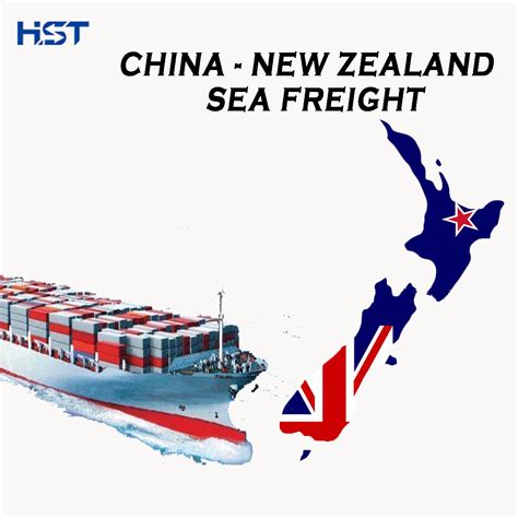 China Freight Forwarder Sea Shipping To Wellington Auckland Napier New