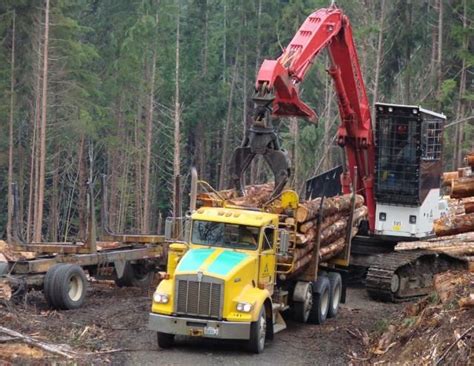 Weyerhaeuser Company Logging Operations Logging Equipment Forestry