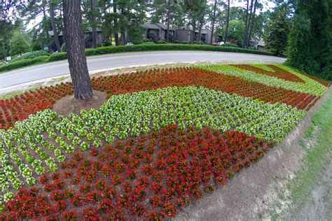 NCDOT: Roadside Beautification