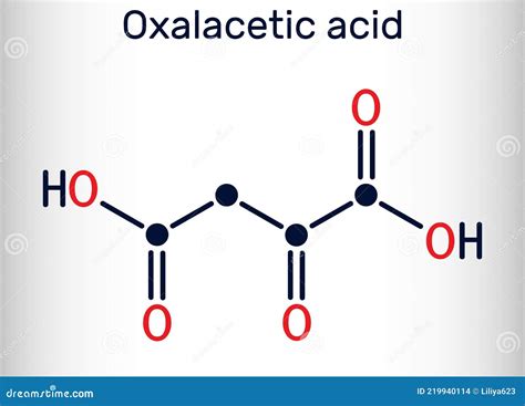 Oxaloacetic Acid Oxalacetic Acid Oaa Oxaloacetate Molecule It Is