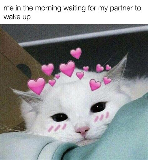 good morning how r u | /r/wholesomememes | Wholesome Memes | Know Your Meme