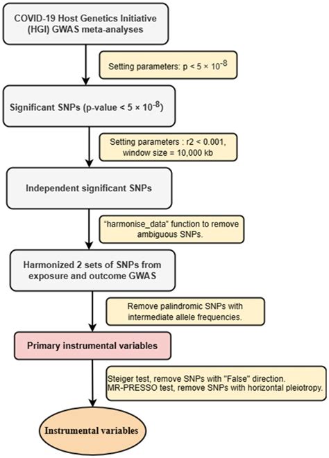 Frontiers Susceptibility And Severity Of Covid And Risk Of