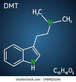 Nndimethyltryptamine Dimethyltryptamine Dmt Molecule Tryptamine Alkaloid Stock Vector (Royalty ...