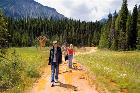 Una Familia Caminando Por Un Sendero Fangoso Contra Los Rboles En El