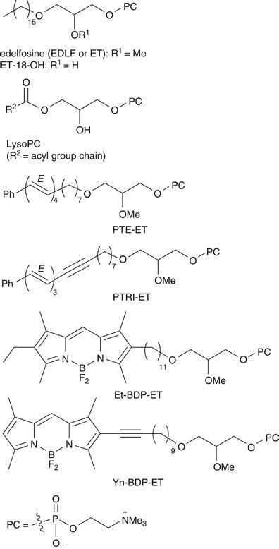 Chemical Structures Of Edelfosine EDLF ET The Structurally Related