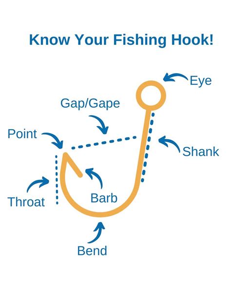 Fishing Hooks 101: Parts, Sizes, Types, and More