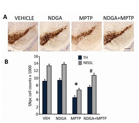 Neuroprotective Effects Of Ndga In The Mptp Model Of Parkinson S