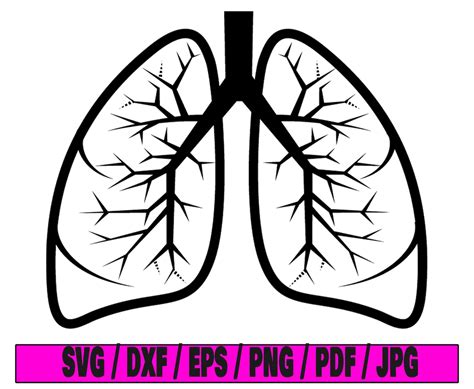 Lungs Svg Organ Svg Air Svg Breathe Svg Health Svg Healthy Svg Etsy