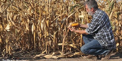 Farmers Get More Time For Drought Relief Measures Taxing Subjects