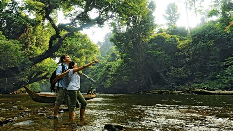 Private Taman Negara National Park Day Excursion From K L